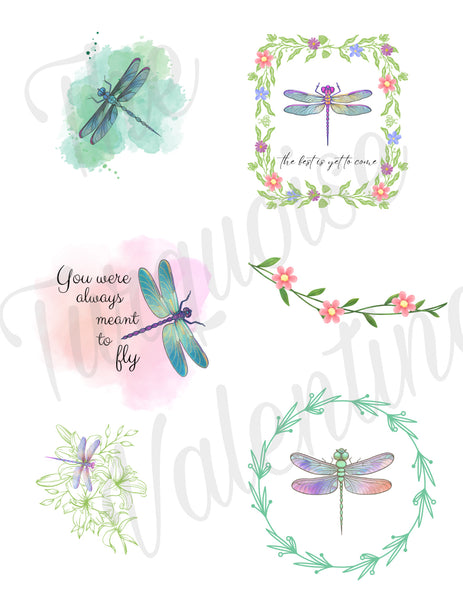 Dragonfly bundle
